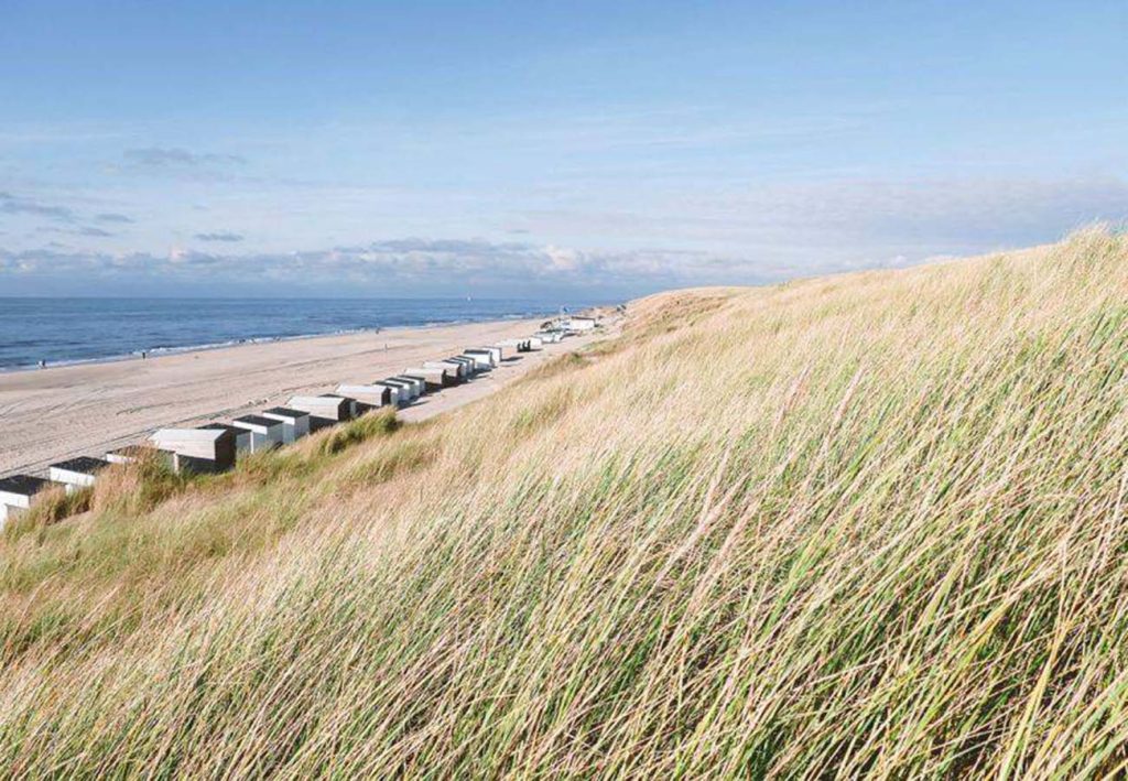 Tips voor een Weekendje Texel Wat te doen in 2 tot 3 Dagen? Reis